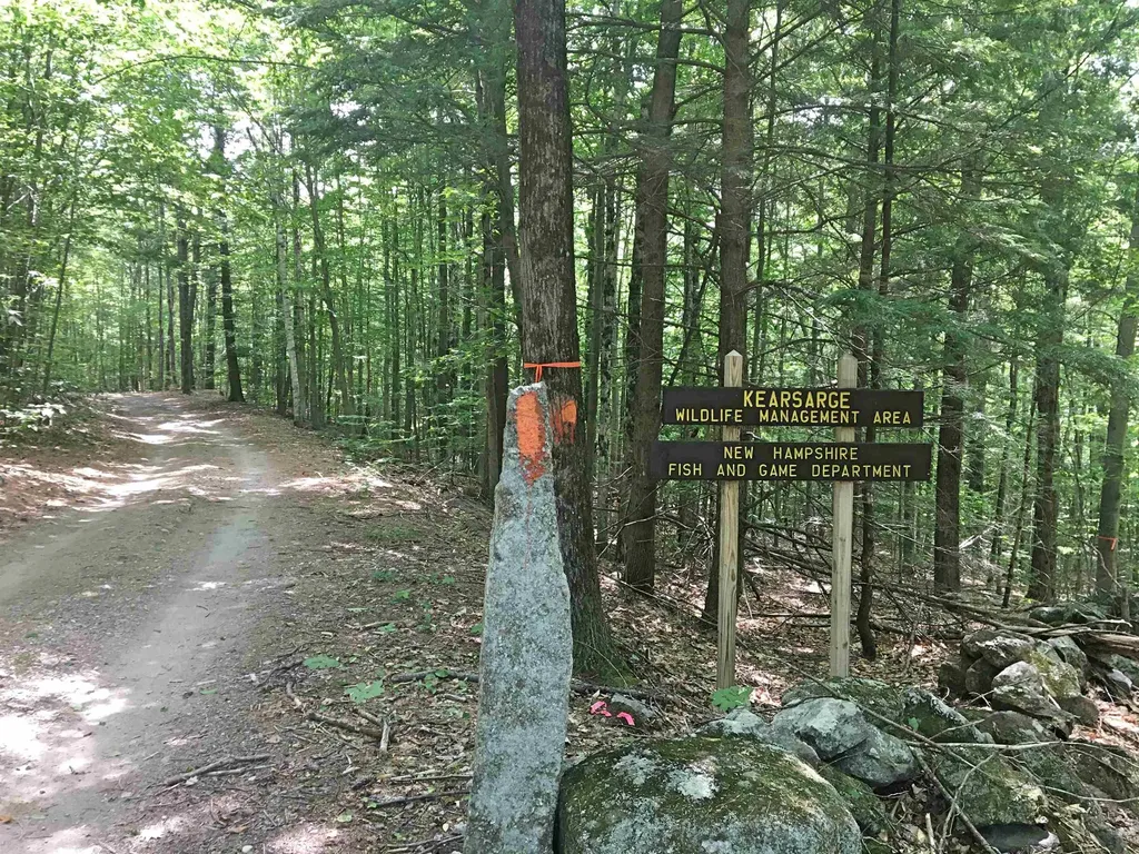 00 Dawes Road Andover NH 03216