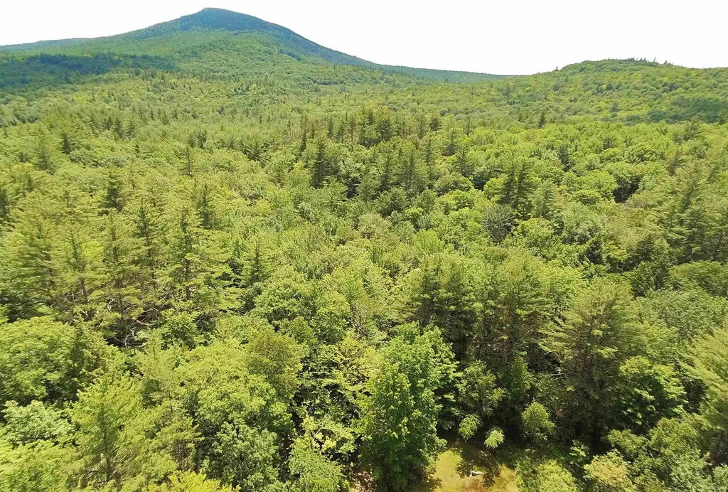 00 Dawes Road Andover NH 03216