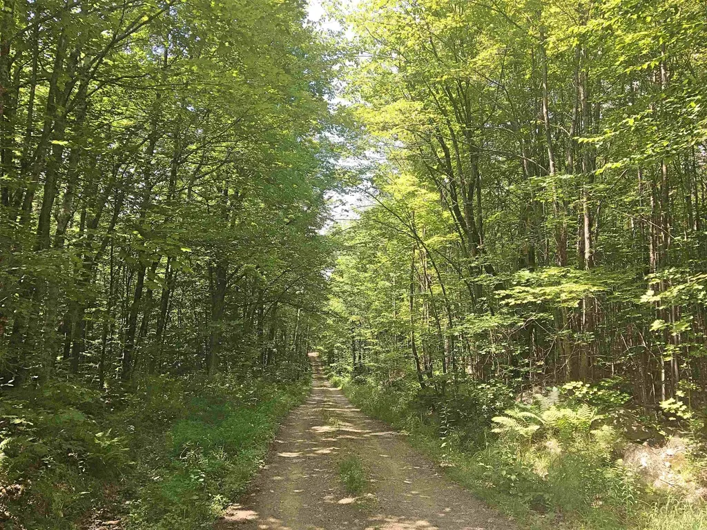 00 Dawes Road Andover NH 03216