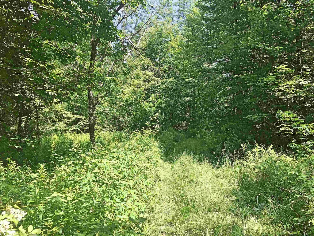 00 Dawes Road Andover NH 03216