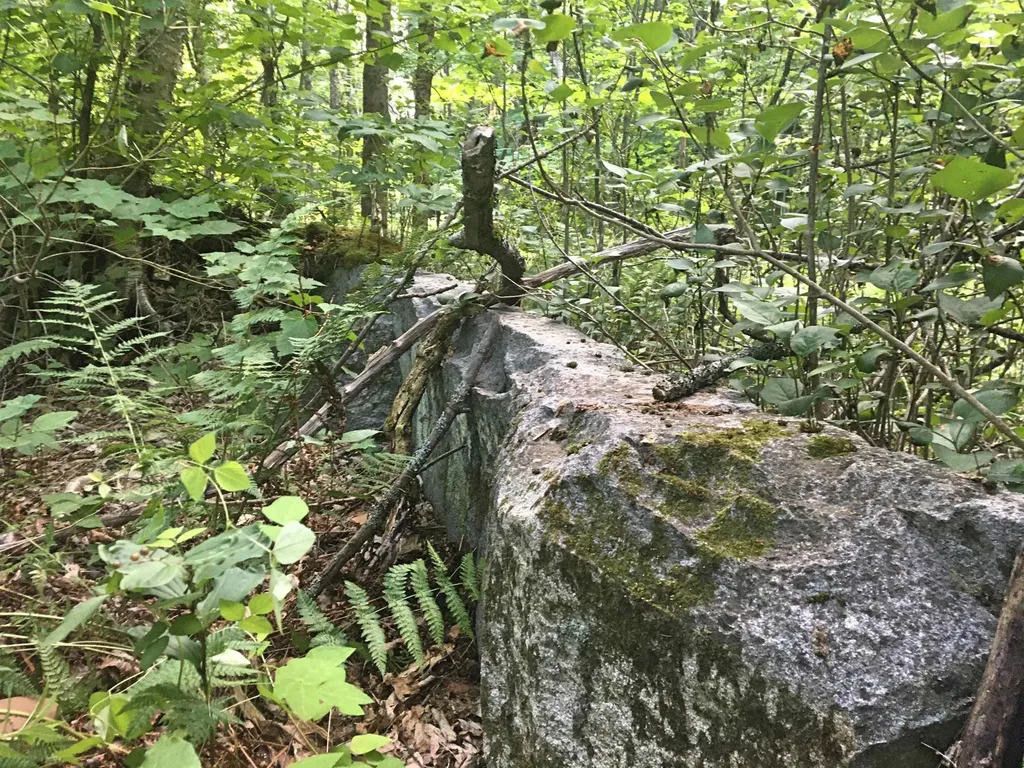 00 Dawes Road Andover NH 03216