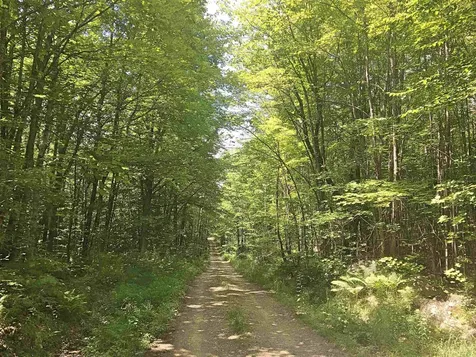 00 Dawes Road Andover NH 03216