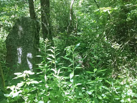 00 Dawes Road Andover NH 03216