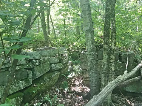 00 Dawes Road Andover NH 03216