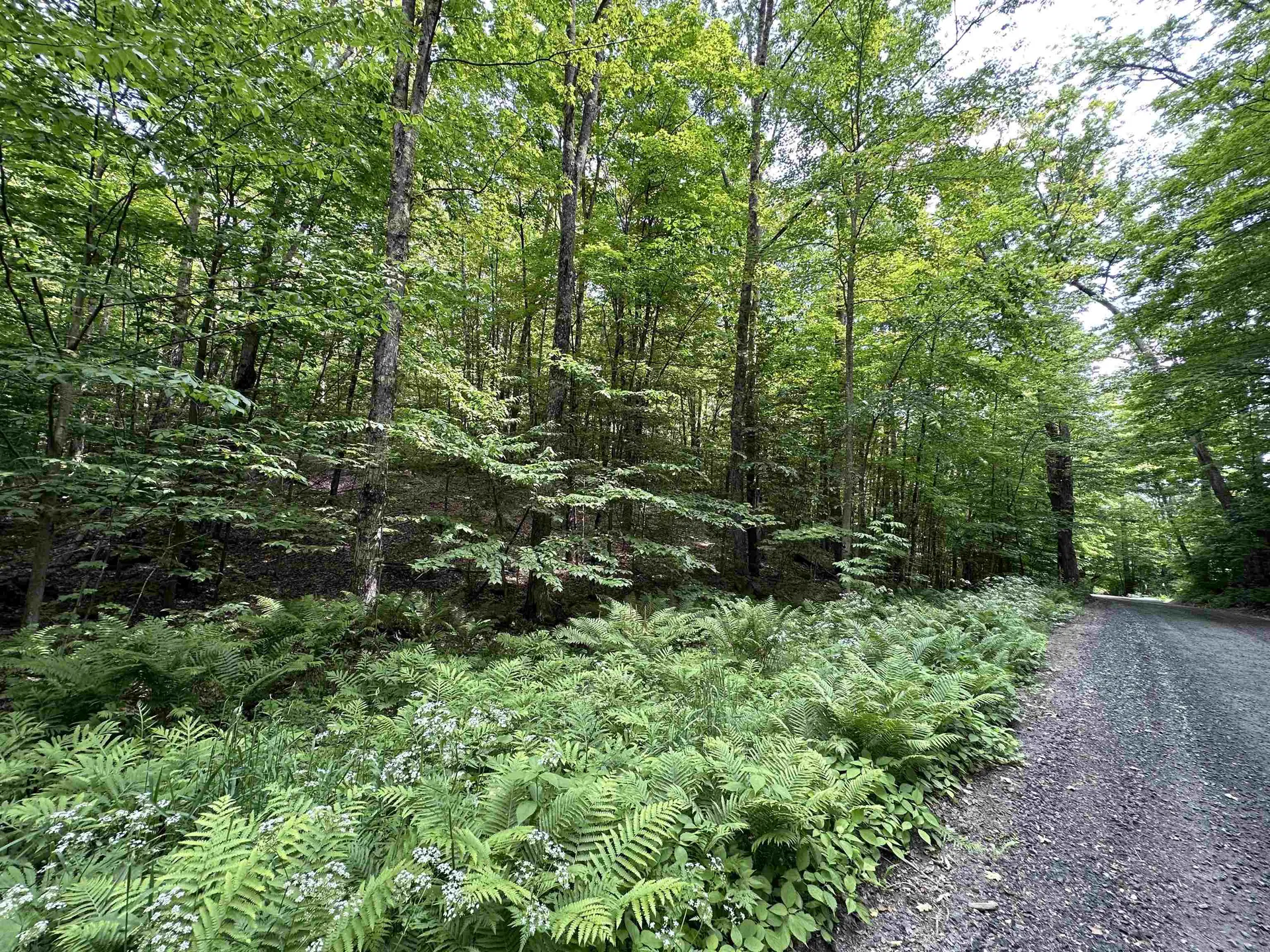 Tbd Arnold Road Bethel VT 05032