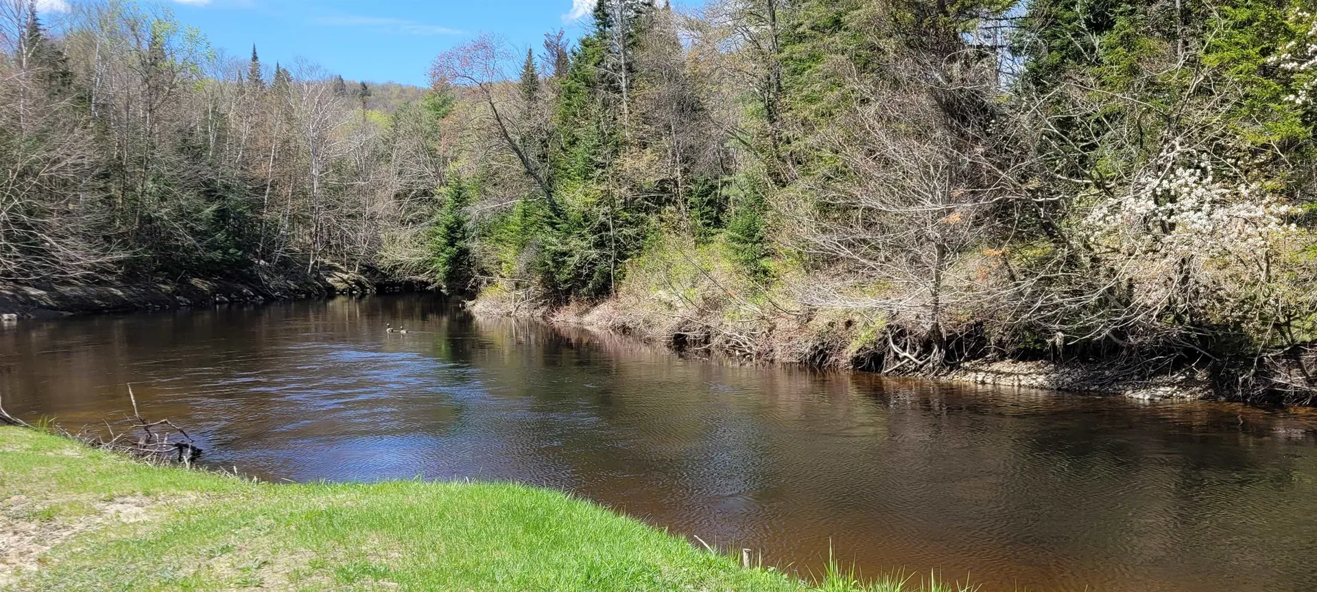 434 Stark Highway Stark NH 03582