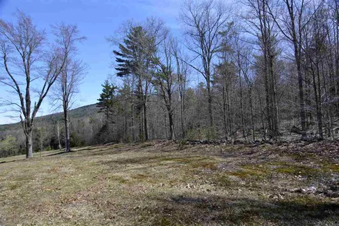 47 Marjories Walk Gilford NH 03249