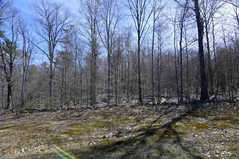 47 Marjories Walk Gilford NH 03249