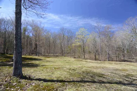 47 Marjories Walk Gilford NH 03249