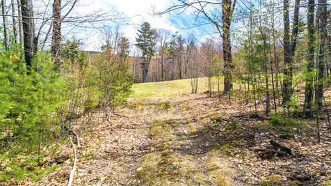 47 Marjories Walk Gilford NH 03249