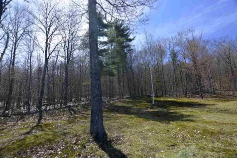 47 Marjories Walk Gilford NH 03249