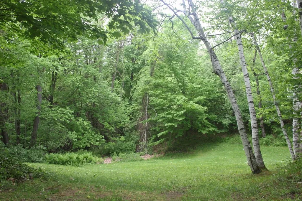 43 Cutler Drive Springfield VT 05156