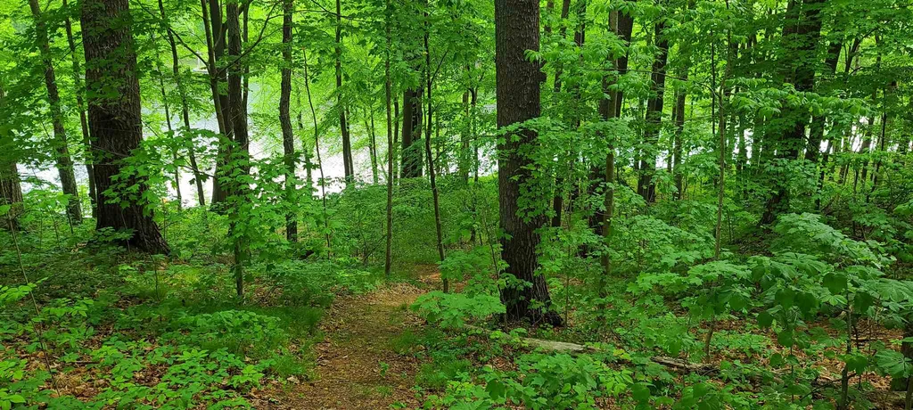 2 Scarlett Lane Rollinsford NH 03869