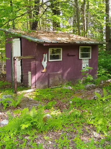 56 Bear Hollow Road Grafton NH 03240