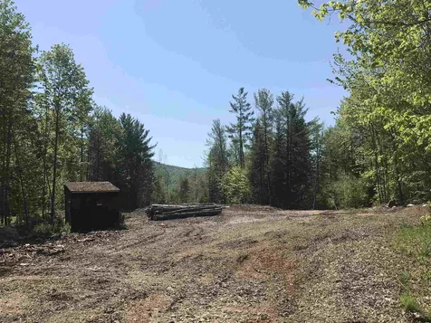 56 Bear Hollow Road Grafton NH 03240