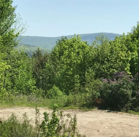 56 Bear Hollow Road Grafton NH 03240