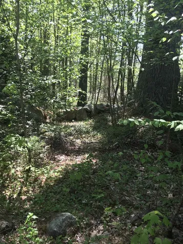 56 Bear Hollow Road Grafton NH 03240
