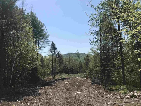 56 Bear Hollow Road Grafton NH 03240