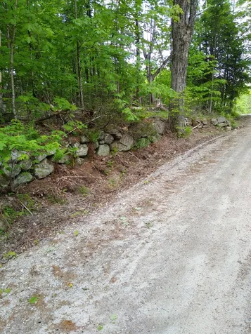 56 Bear Hollow Road Grafton NH 03240