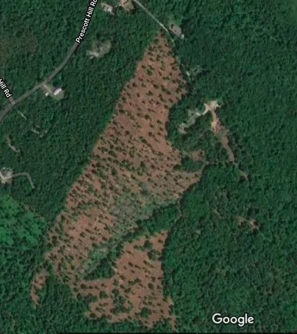 56 Bear Hollow Road Grafton NH 03240