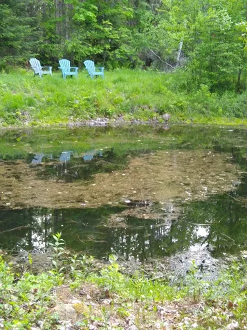 56 Bear Hollow Road Grafton NH 03240