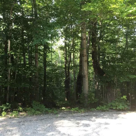 00 Shallowbrook Road Jay VT 05859