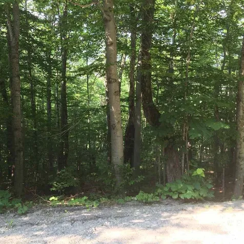 00 Shallowbrook Road Jay VT 05859