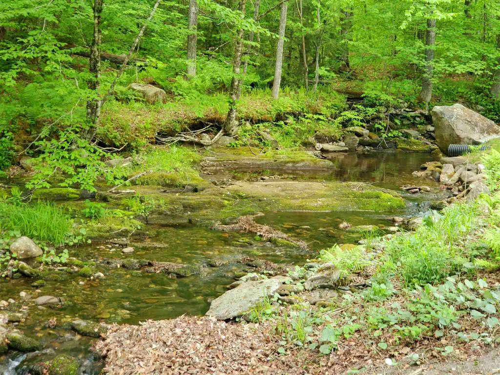 1659 Simpson Brook Road Townshend VT 05353