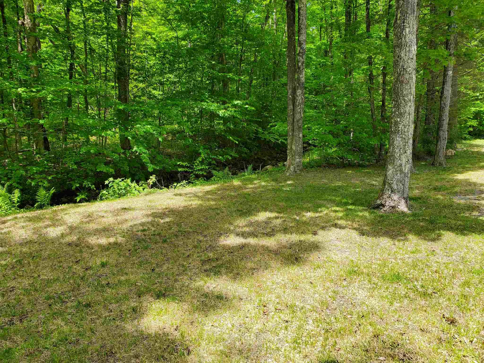 1659 Simpson Brook Road Townshend VT 05353