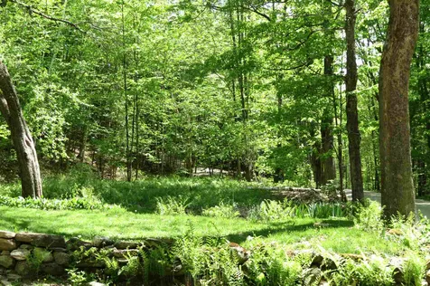 306 East Lake Road Ludlow VT 05149
