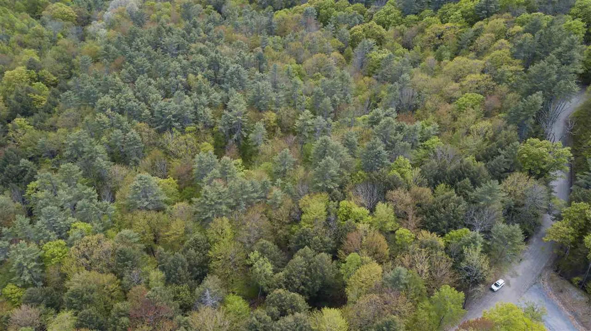 00 Wallace Road Hartford VT 05001