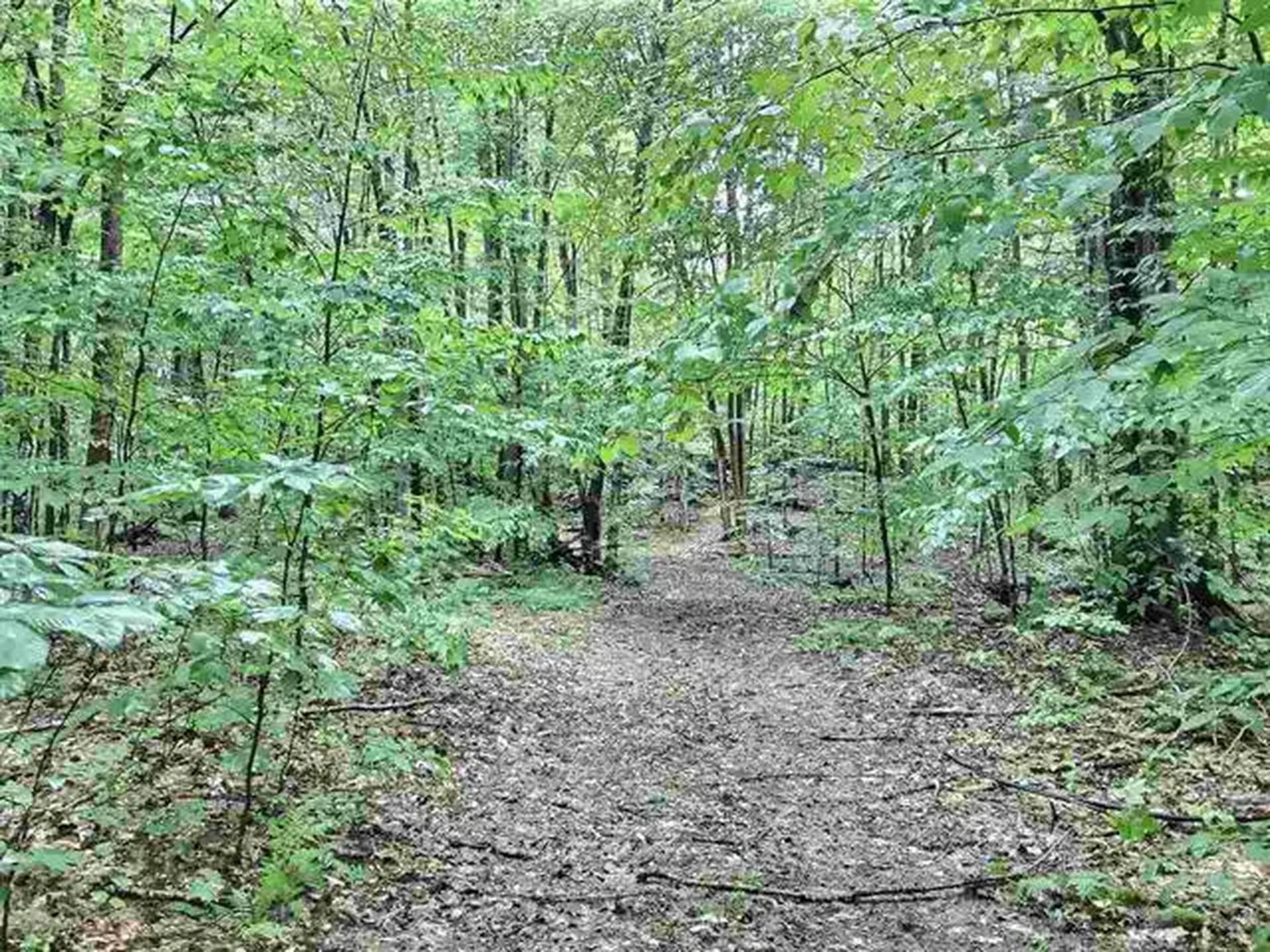 00 Wallace Road Hartford VT 05001