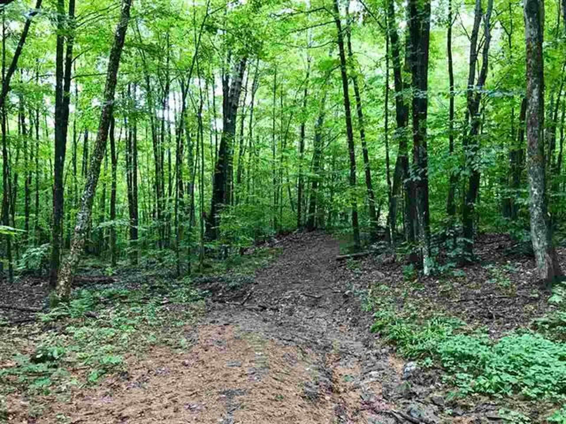 00 Wallace Road Hartford VT 05001