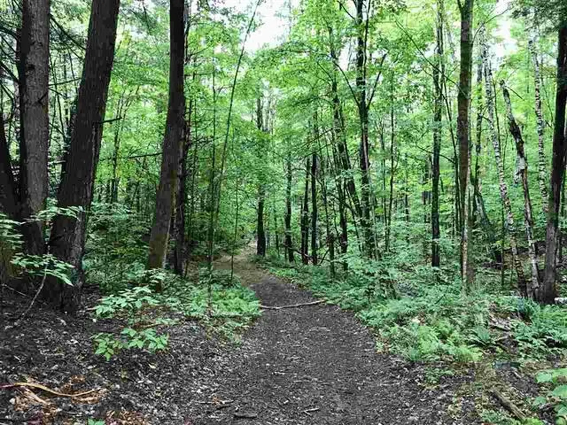 00 Wallace Road Hartford VT 05001