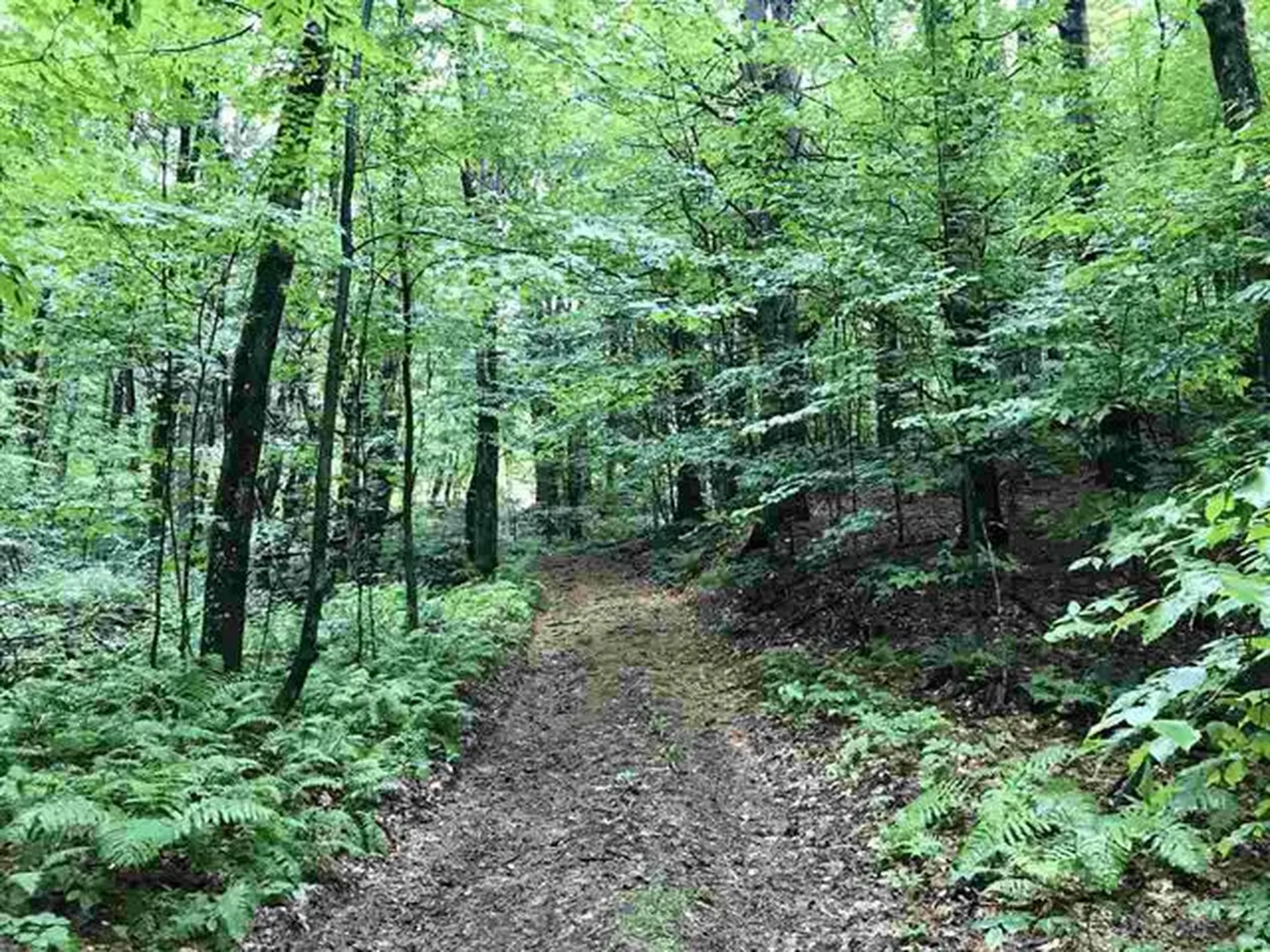 00 Wallace Road Hartford VT 05001