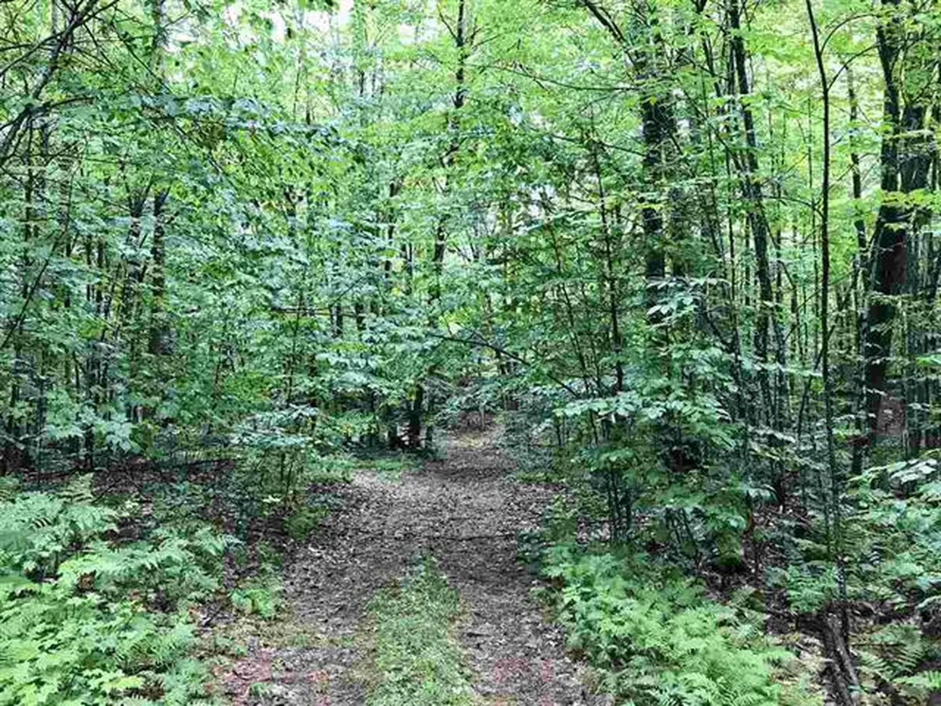 00 Wallace Road Hartford VT 05001