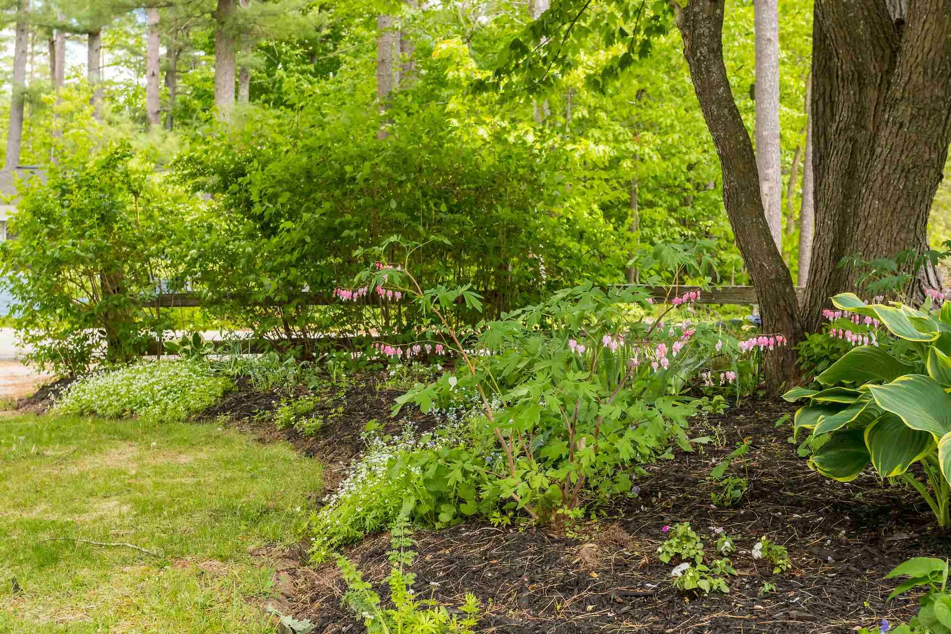 118 Saint James Avenue Milton NH 03851