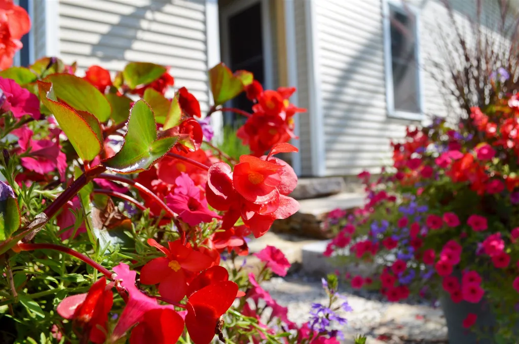 29 Maple Street Sunapee NH 03782