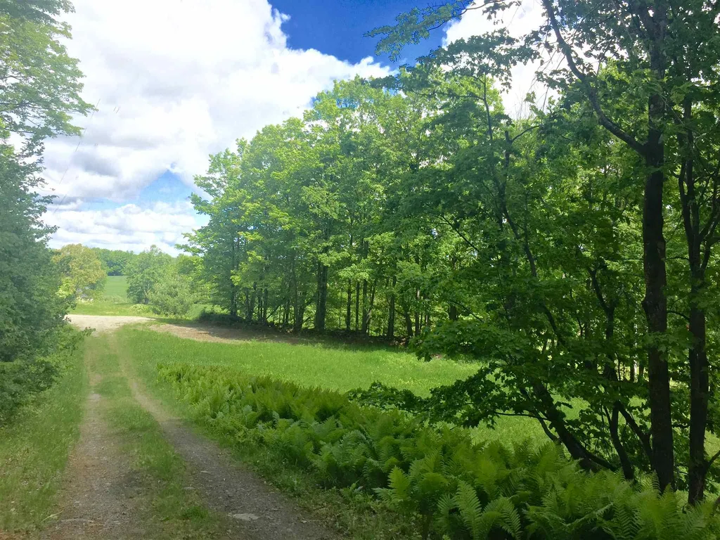 1122 Peterkin Hill Road Woodstock VT 05091