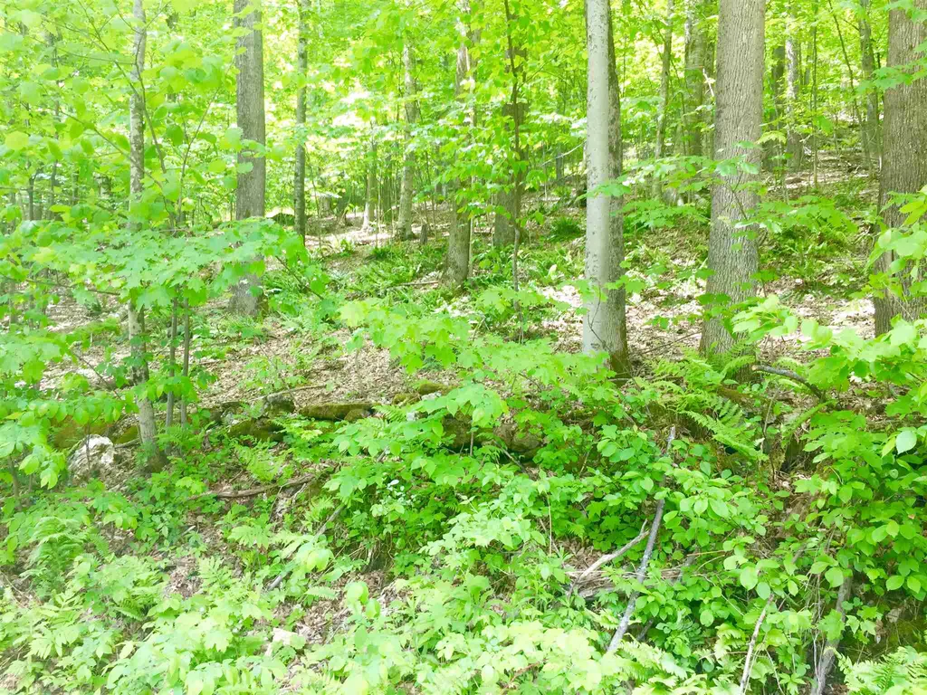 1122 Peterkin Hill Road Woodstock VT 05091