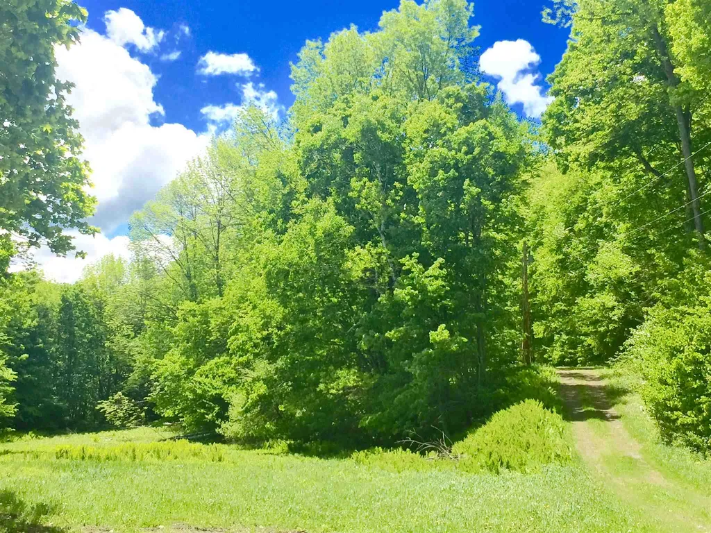 1122 Peterkin Hill Road Woodstock VT 05091