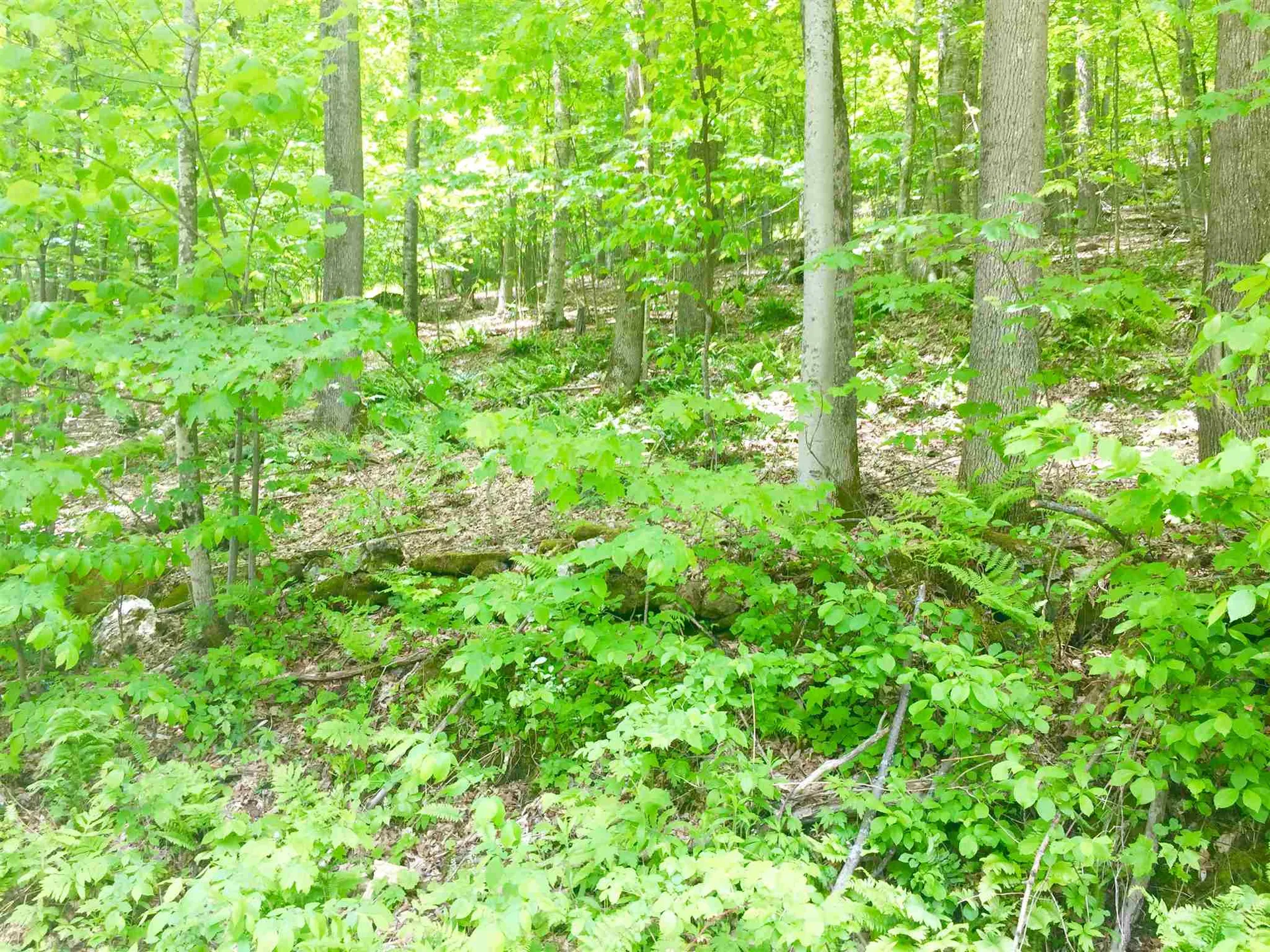 1122 Peterkin Hill Road Woodstock VT 05091