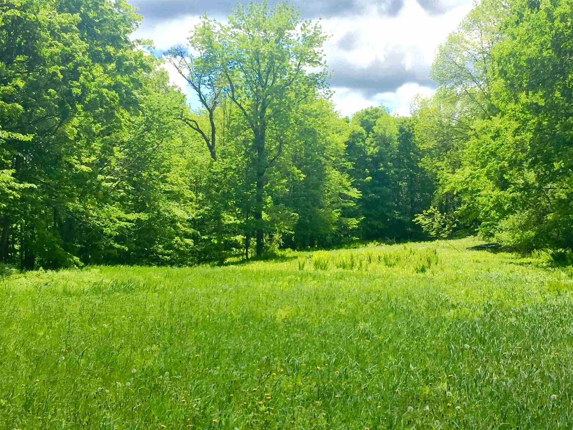 1122 Peterkin Hill Road Woodstock VT 05091