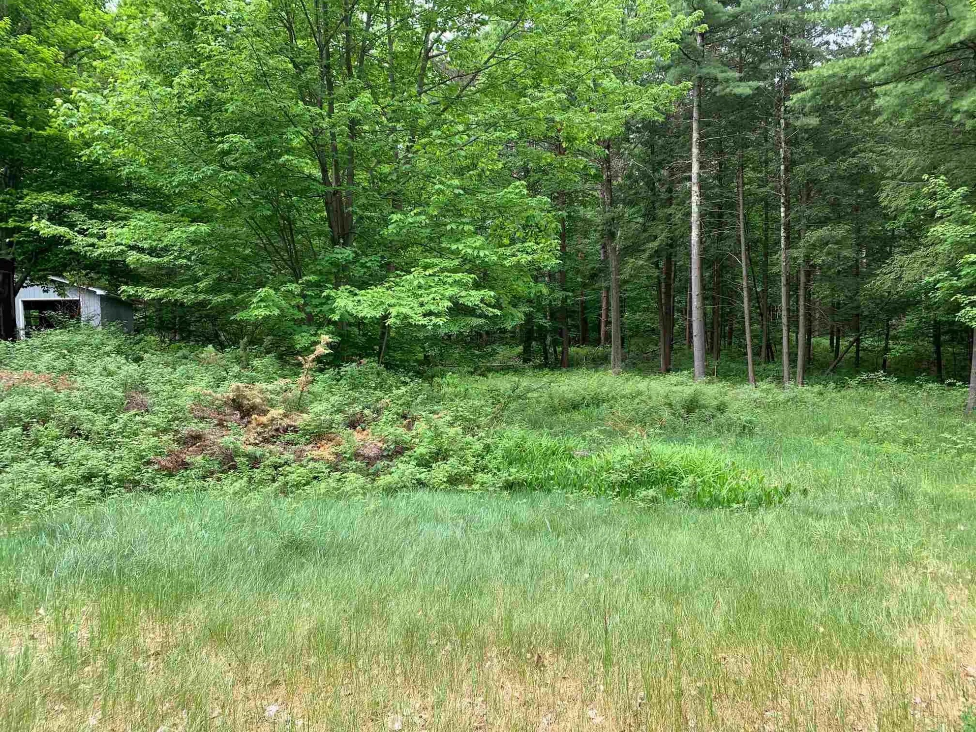 81 Rustic Walk Swanton VT 05488