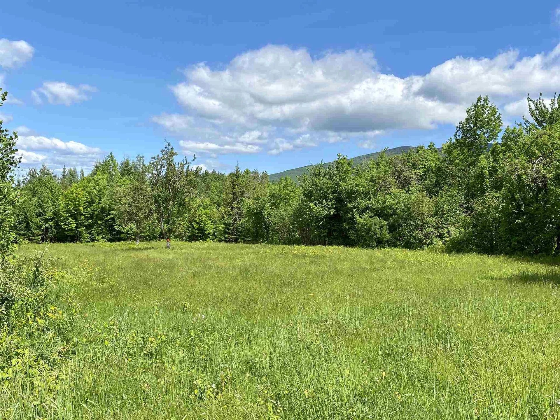 40 Rockwood Avenue Jefferson NH 03583