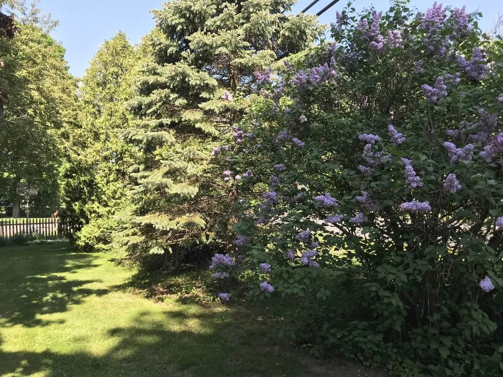 214 River Road Essex VT 05452