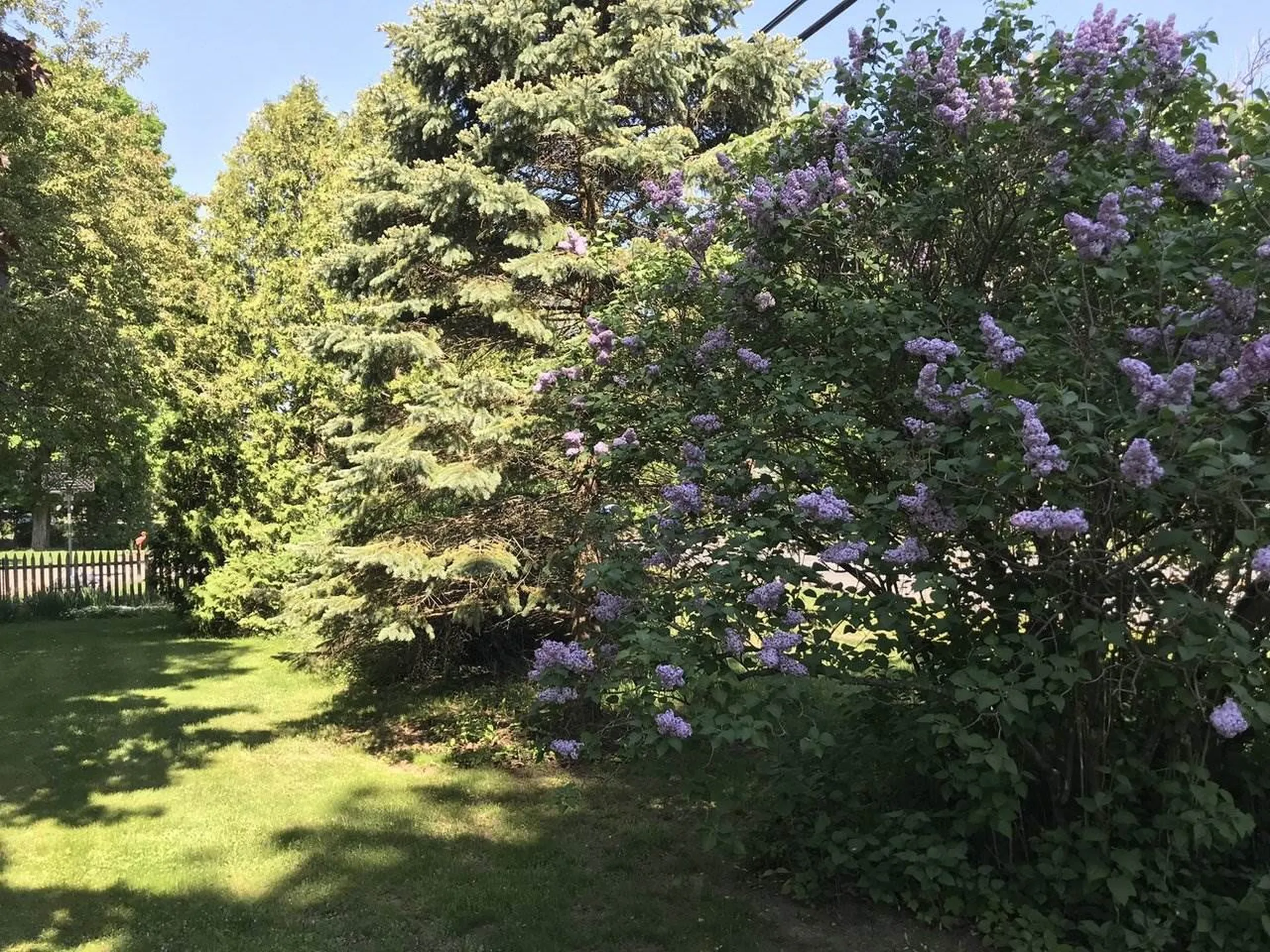214 River Road Essex VT 05452