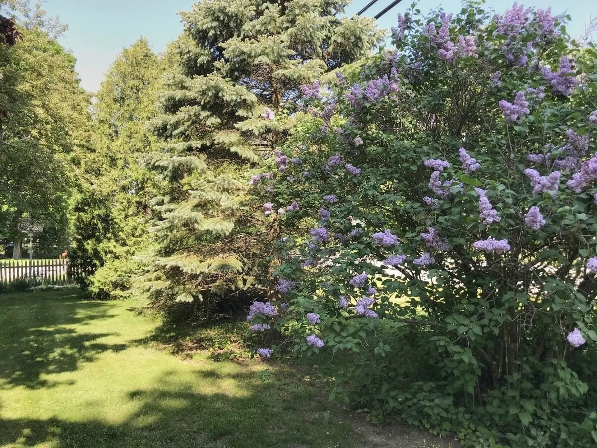 214 River Road Essex VT 05452
