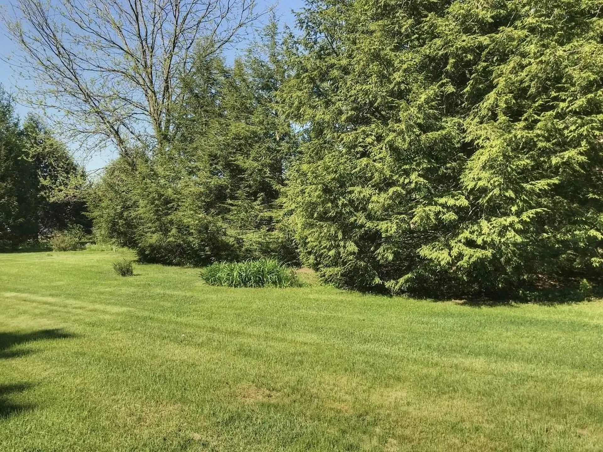 214 River Road Essex VT 05452
