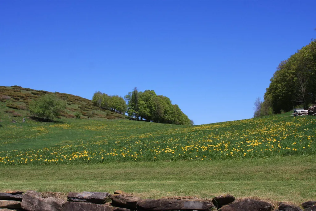 21 Burbank Crossover Road Chelsea VT 05038